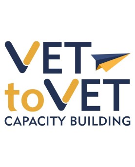 Technological Empowerment for VET trainers